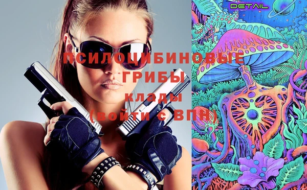 прущие крисы Абинск