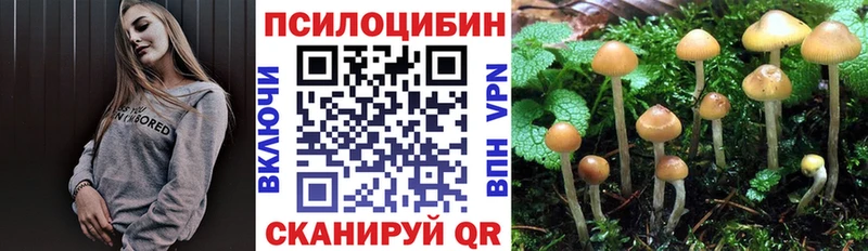 Псилоцибиновые грибы мицелий  KRAKEN ссылка  Нижнекамск  где продают  
