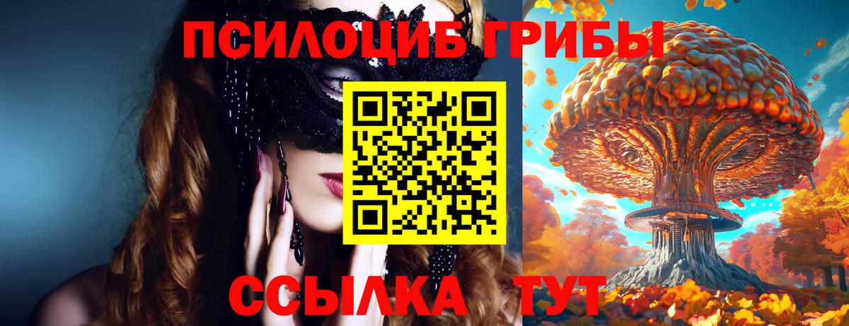 Галлюциногенные грибы Cubensis  Вход с VPN  Нижнекамск 